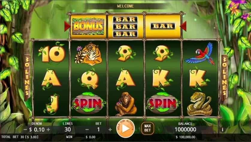 Jungle Slots