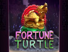 GN-Fortune-turtle