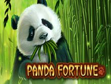 GN-Panda-fortune