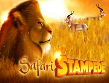 GN-Safari-stampede