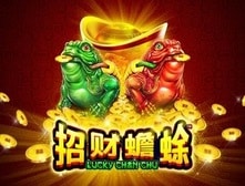 sw_lcc